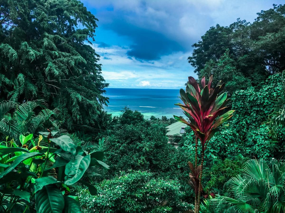 Ocean Vista Apartment Au Cap Bagian luar foto